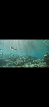 武藤潜水に投稿された画像（2023/10/14）