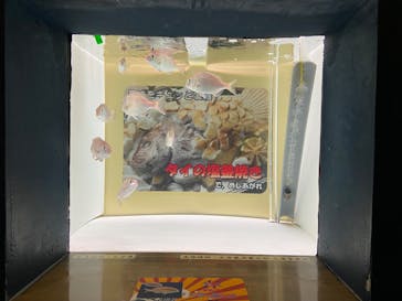 大分マリーンパレス水族館 「うみたまご」に投稿された画像（2023/10/14）