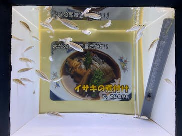 大分マリーンパレス水族館 「うみたまご」に投稿された画像（2023/10/14）