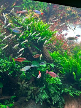 AOAO SAPPOROに投稿された画像（2023/10/14）