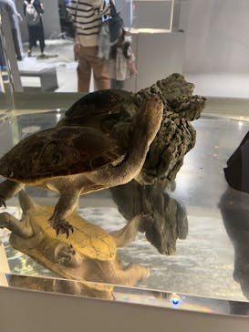 AOAO SAPPOROに投稿された画像（2023/10/14）