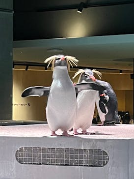 AOAO SAPPOROに投稿された画像（2023/10/14）