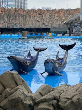 名古屋港水族館に投稿された画像（2023/10/14）