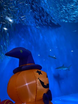 名古屋港水族館に投稿された画像（2023/10/14）