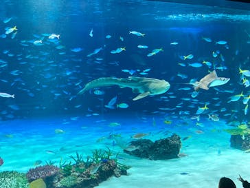 サンシャイン水族館に投稿された画像（2023/10/14）