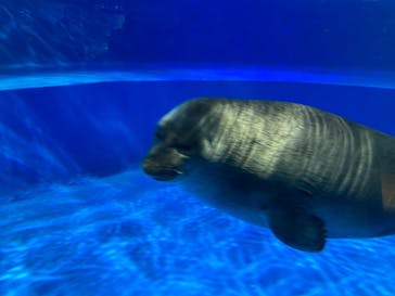 サンシャイン水族館に投稿された画像（2023/10/14）