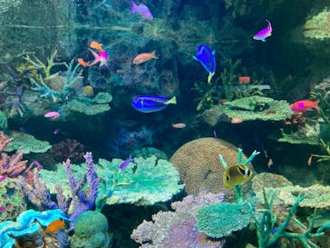 サンシャイン水族館に投稿された画像（2023/10/14）