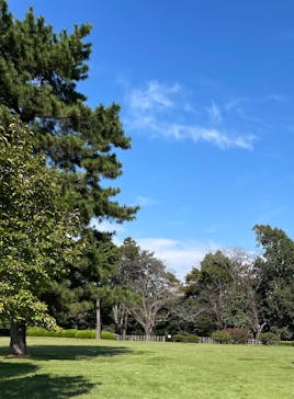 千葉こどもの国 キッズダムに投稿された画像（2023/10/14）