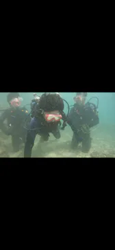 武藤潜水に投稿された画像（2023/10/14）