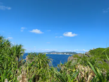 武藤潜水に投稿された画像（2023/10/14）