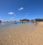 武藤潜水に投稿された画像（2023/10/14）