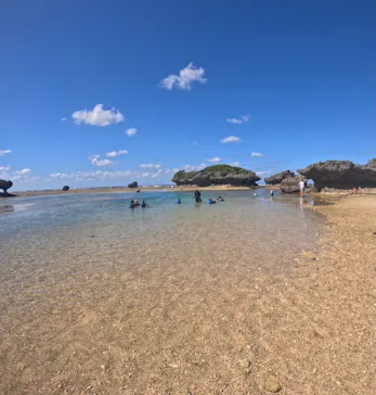 武藤潜水に投稿された画像（2023/10/14）