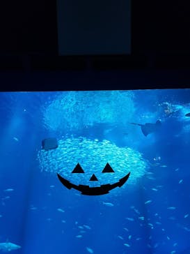 アクアワールド茨城県大洗水族館に投稿された画像（2023/10/14）