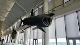 アクアワールド茨城県大洗水族館に投稿された画像（2023/10/14）