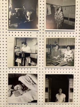 彫刻の森美術館に投稿された画像（2023/10/14）