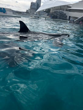 鴨川シーワールドに投稿された画像（2023/10/14）