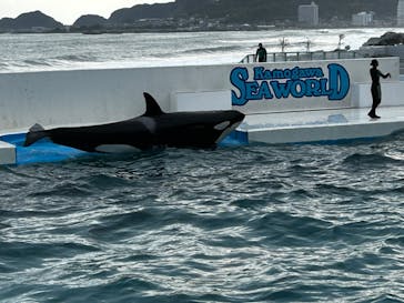鴨川シーワールドに投稿された画像（2023/10/14）