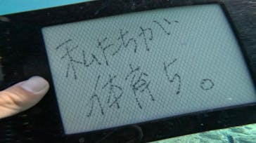 青の洞窟専門店　沖縄ダイビングショップ和に投稿された画像（2023/10/14）