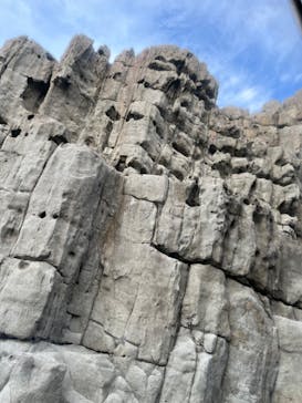 東尋坊観光遊覧船株式会社に投稿された画像（2023/10/14）