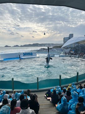 鴨川シーワールドに投稿された画像（2023/10/14）
