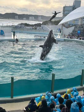 鴨川シーワールドに投稿された画像（2023/10/14）