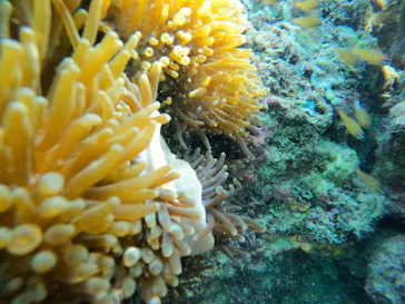 武藤潜水に投稿された画像（2023/10/14）