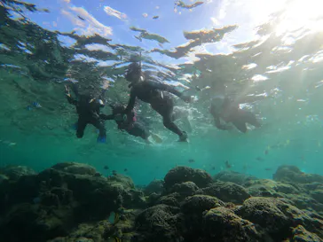 武藤潜水に投稿された画像（2023/10/14）
