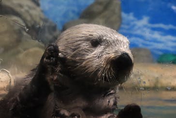 マリンワールド海の中道に投稿された画像（2023/10/14）