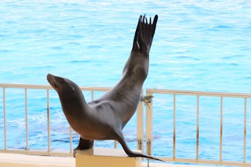 マリンワールド海の中道に投稿された画像（2023/10/14）