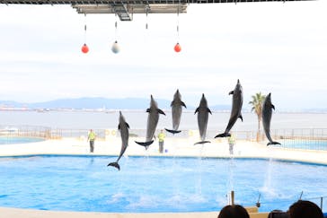 マリンワールド海の中道に投稿された画像（2023/10/14）