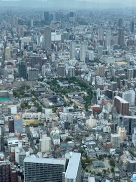 ハルカス300(展望台)に投稿された画像（2023/10/14）