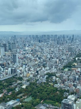 ハルカス300(展望台)に投稿された画像（2023/10/14）