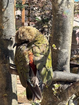 那須どうぶつ王国に投稿された画像（2023/10/14）