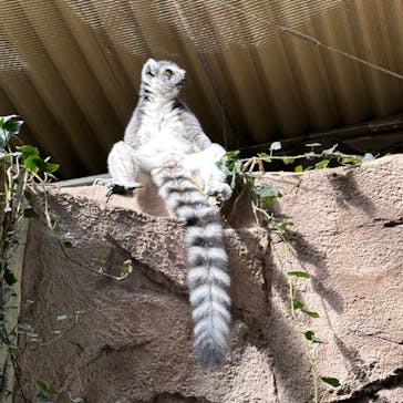 那須どうぶつ王国に投稿された画像（2023/10/14）