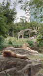 天王寺動物園に投稿された画像（2023/10/14）