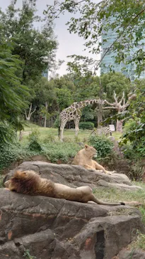天王寺動物園に投稿された画像（2023/10/14）