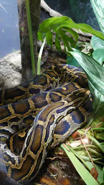 天王寺動物園に投稿された画像（2023/10/14）