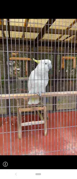 天王寺動物園に投稿された画像（2023/10/14）