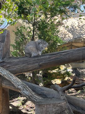 那須どうぶつ王国に投稿された画像（2023/10/14）