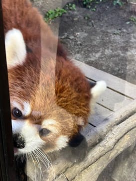 那須どうぶつ王国に投稿された画像（2023/10/14）