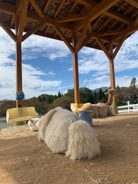 牧歌の里に投稿された画像（2023/10/14）