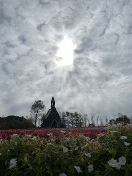 牧歌の里に投稿された画像（2023/10/14）