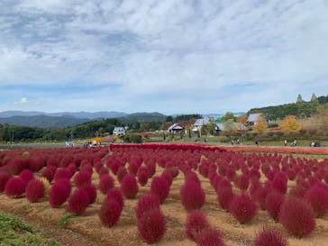 牧歌の里に投稿された画像（2023/10/14）