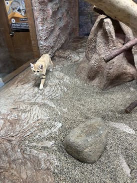 那須どうぶつ王国に投稿された画像（2023/10/14）