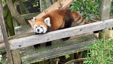 到津の森公園に投稿された画像（2023/10/14）