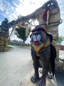 東武動物公園に投稿された画像（2023/10/14）