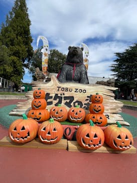 東武動物公園に投稿された画像（2023/10/14）