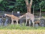 名古屋市東山動植物園に投稿された画像（2023/10/14）
