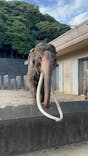 横浜市立金沢動物園に投稿された画像（2023/10/14）