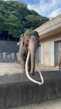 横浜市立金沢動物園に投稿された画像（2023/10/14）